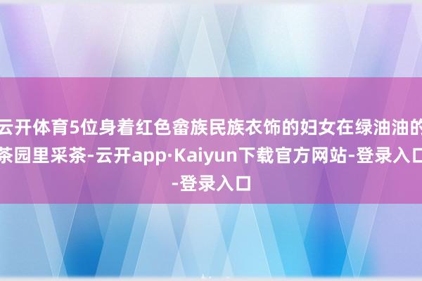 云开体育5位身着红色畲族民族衣饰的妇女在绿油油的茶园里采茶-云开app·Kaiyun下载官方网站-登录入口